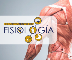 Fisio